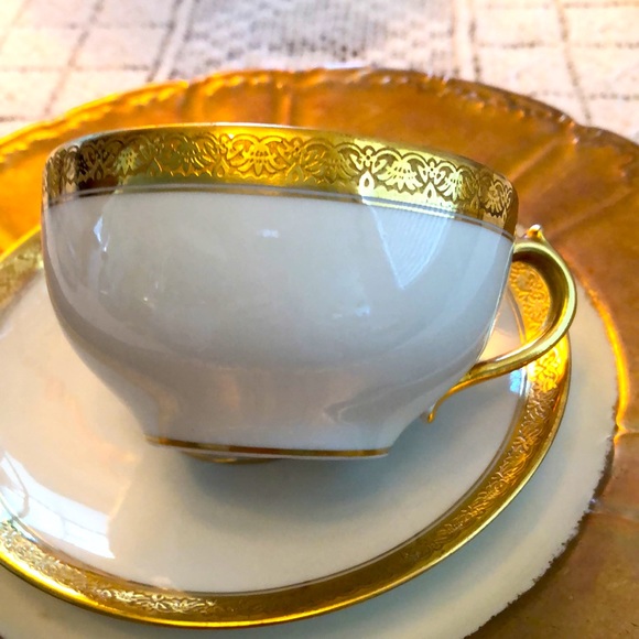 EUC- Nearly Pristine & Rare GDA France Haviland Limoges Calvados Teacup & Saucer - Picture 7 of 14